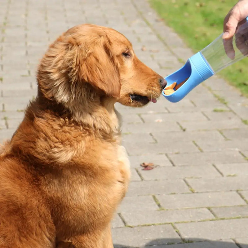 Alimentador Portátil 2 em 1 com Comedouro – Hidrate e Alimente Seu Pet Onde Estiver